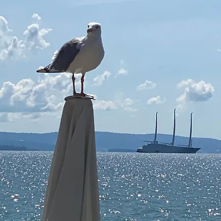 Urban Oasis, Home-triest Com *