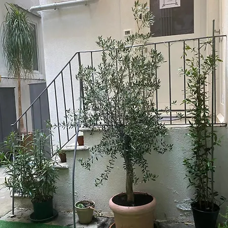Urban Oasis, Home-triest Com דירה טריאסטה