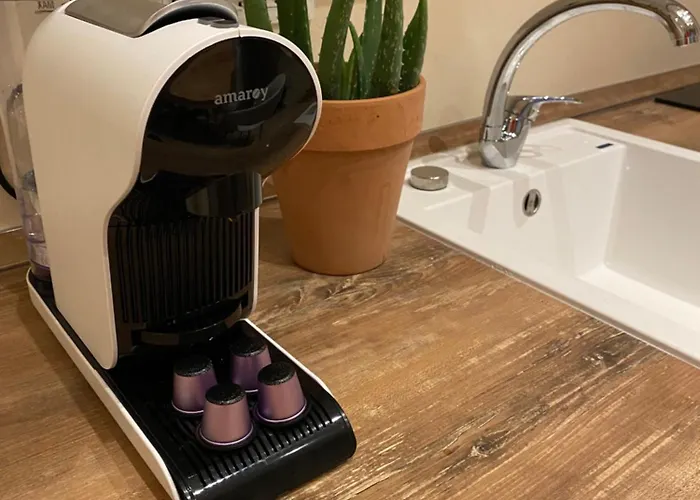 Urban Oasis, Home-triest Com Appartamento *