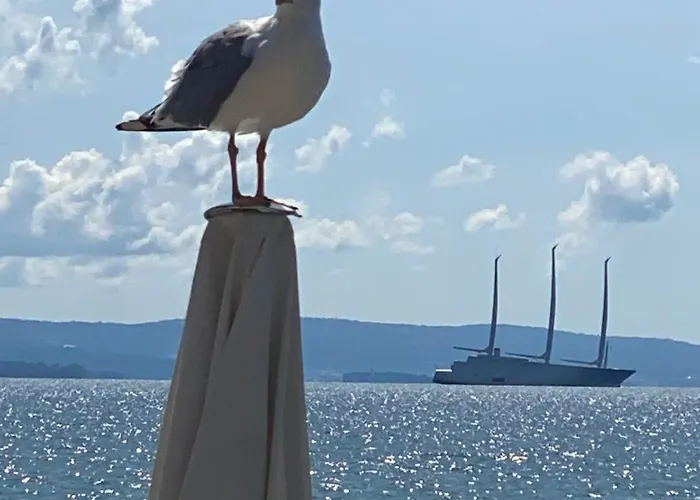 Urban Oasis, Home-triest Com *